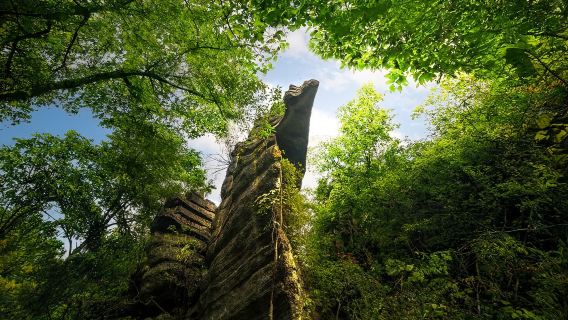 "VIP Kumpulan Kecil 8 Orang" Lawatan Sehari Pura-Pura Bermain di Hutan Batu Suoboya, Enshi|Percutian Keluarga