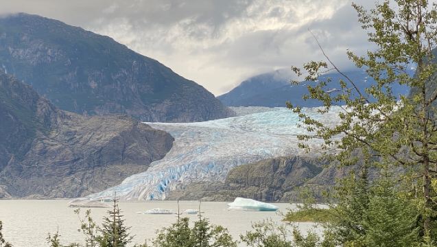 Juneau: Mendenhall Glacier and Whale Watching Tour