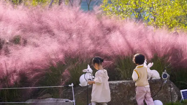 Seoul: Nami Island & Railbike & Begonia Bird Park Day Tour