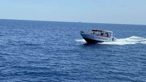 Mallorca: Caves, Cliffs, and Coves Boat Trip