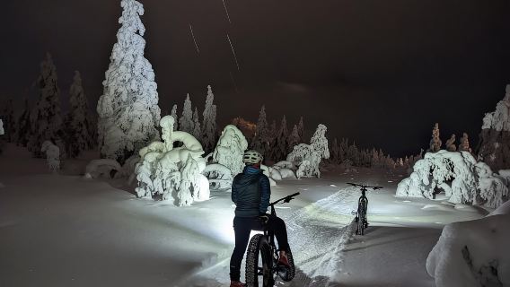 Saariselkä: tour guiado en fatbike