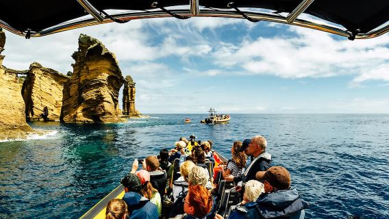 Ilhéu de Vila Franca : visite guidée en bateau écologique avec biologiste