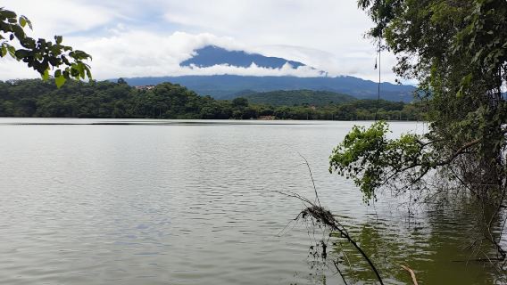 Arusha: Lake Duluti Guided Nature Walk, Canoeing, and Picnic