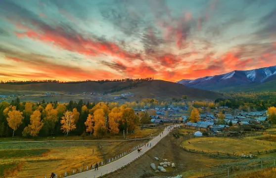 【新疆北疆/南疆】中文/英語/粵語/法語/俄語等小語種導遊/翻譯/地陪|商務•展會翻譯/City walk