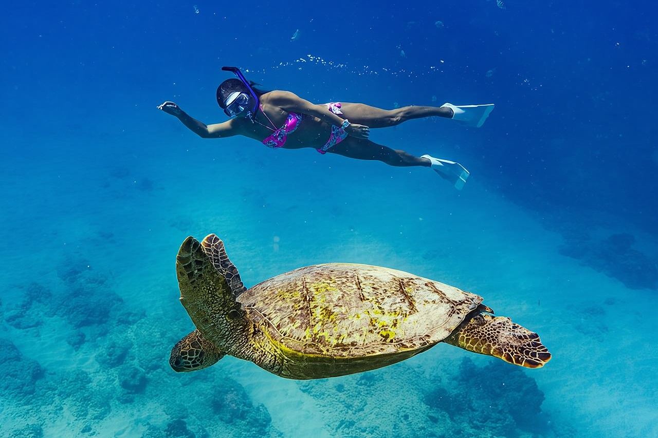 Snorkeling with Sea Turtles in Waikiki Hawaii Boat Tour