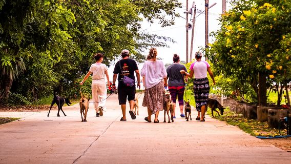 Visita de un día de Rescue P.A.W.S.