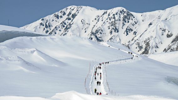 Tagesausflug zur Schneemauer-Festival in Tateyama Kurobe und dem UNESCO-Weltkulturerbe Shirakawa-go Gassho-Dorf [Abfahrt von Nagoya]
