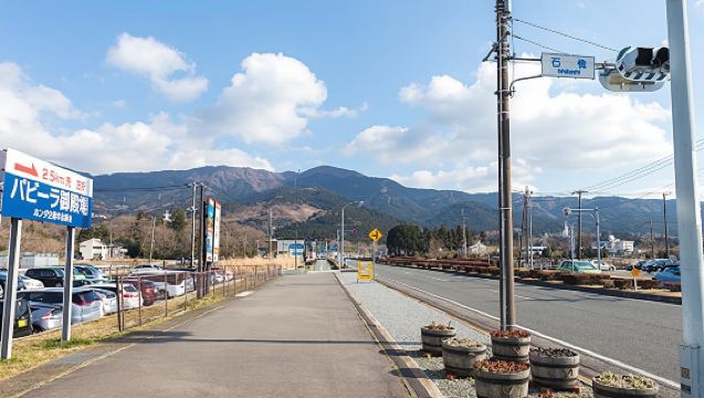 Fuji-Q Highland Amusement Park and Thomas Land and Gotemba Premium Outlet - Full-Day Tour