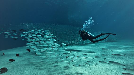 3 Tank Combo Cabo Reserve & Corridor, Certified Divers with MANTA