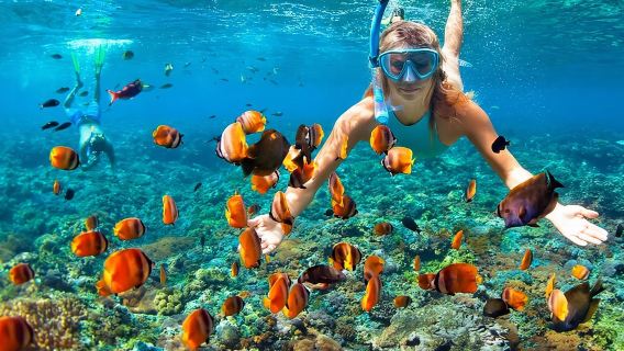 Phi Phi Half Day Tour Speed Boat Tour