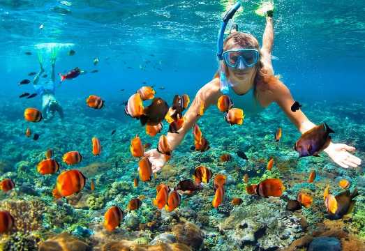 Phi Phi Half Day Tour Speed Boat Tour