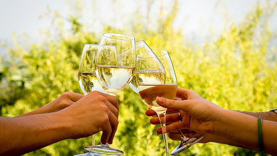 Wine Tour: Paarl, Franschhoek & Stellenbosch incl 3 wineries