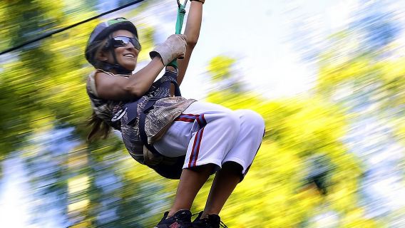 Privater Ganztagesausflug in den Nebelwald von Mindo, zu einer Schmetterlingsfarm, einer Schokoladentour und zur Vogelbeobachtung