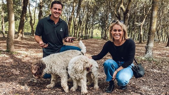 Experience Tuscan Truffle Hunting with Wine and Lunch