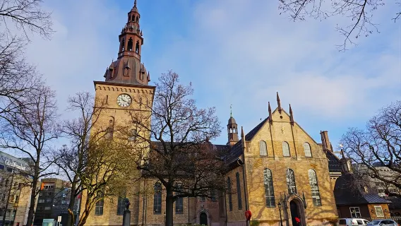 Fortezza di Akershus + Penisola di Bygdøy + Spiaggia di Huk + Cattedrale di Oslo tour privato con autista
