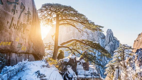 黃山包車1日遊【專車接送+1對1持證導遊講解】