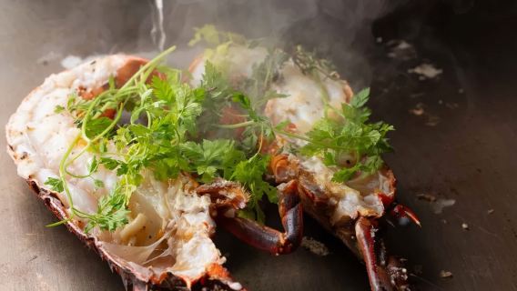 Teppanyaki in Tokyo | Nishiazabu Teppanyaki Kichi | Wagyu & Kobe Beef Experience