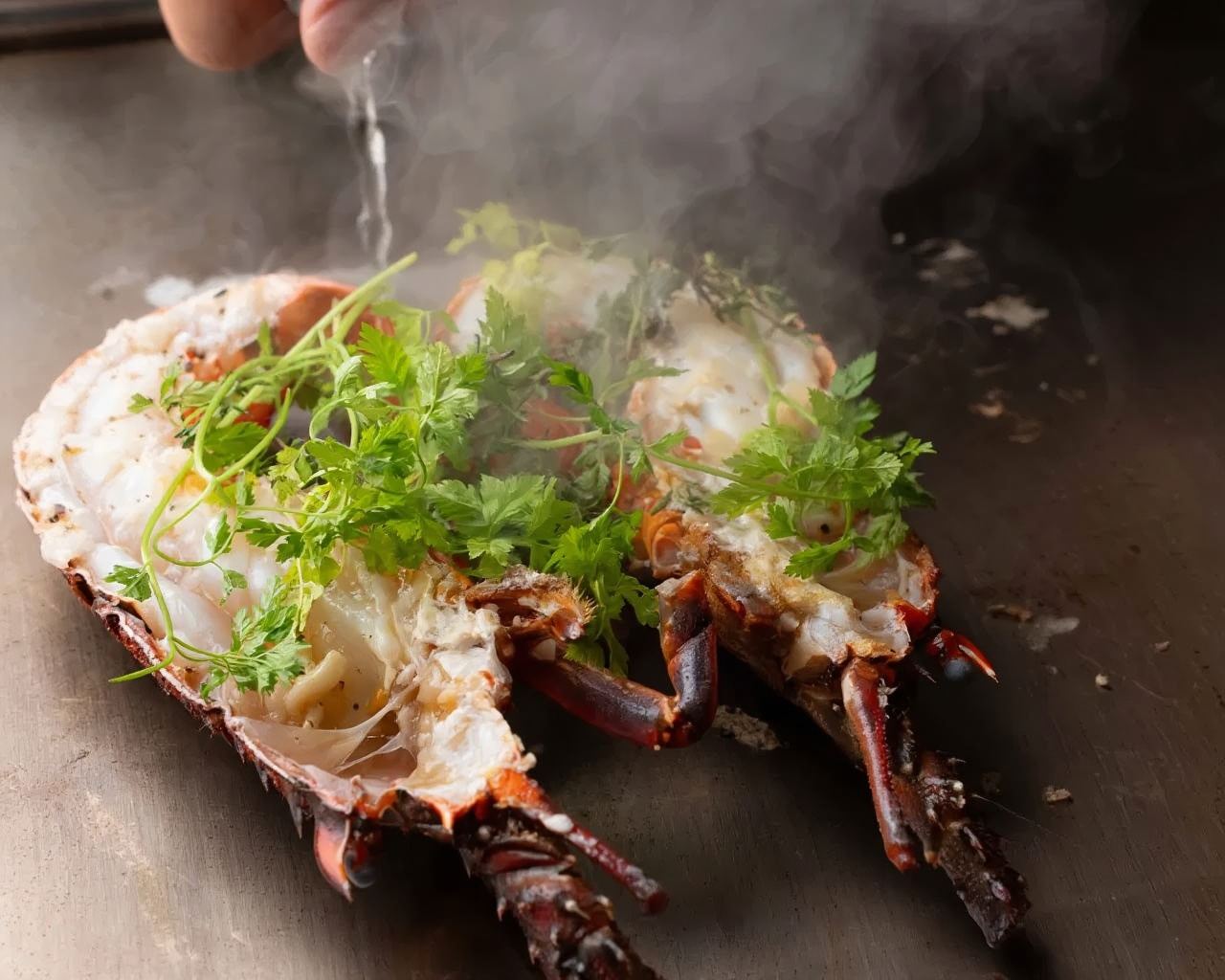 Teppanyaki in Tokyo | Nishiazabu Teppanyaki Kichi | Wagyu & Kobe Beef Experience