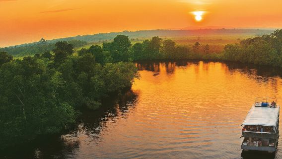 Weston Wetland Mangrove & Fireflies River Cruise | Kota Kinabalu, Sabah