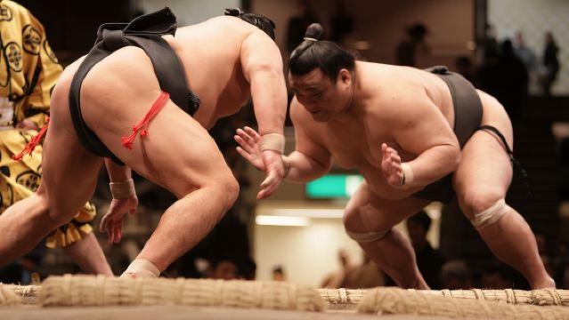 Sumo Wrestling Tournament A-Class Seat & ExpertGuide | Nagoya Jul