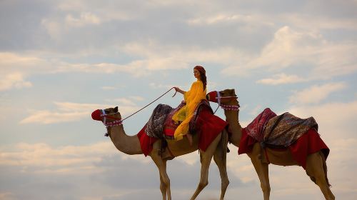 Dubai Self-drive Quad Bike, Sand Boarding, Camels & Refreshments 1