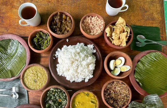 錫吉里耶有機烹飪課（庫馬拉一家）