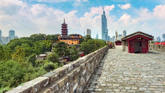 Nanjing Half-Day Tour|Jiming Temple, Nanjing Taicheng, Xuanwu Lake