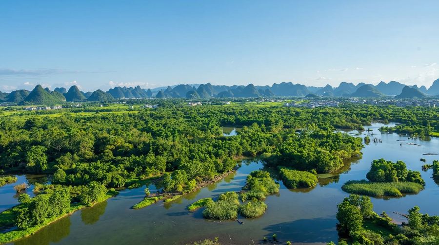 桂林陽朔會仙濕地+船遊濕地玻璃田狀元橋一日遊小眾路線田園風光
