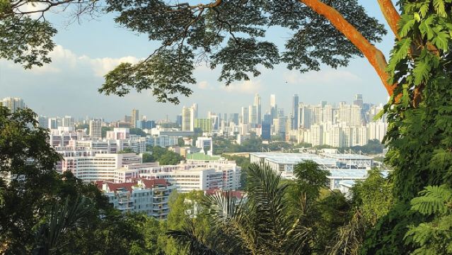 Tour privado de día completo por Singapur con crucero por el río