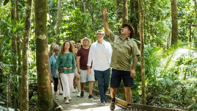 Daintree Rainforest and Cape Tribulation Full Day Tour