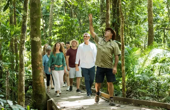 黛恩樹雨林及苦難角全日遊