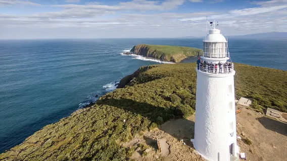 Comida, turismo, visita guiada al faro y almuerzo en la isla Bruny
