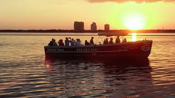 1.5-hour Dolphin Sightseeing Cruise from Tampa