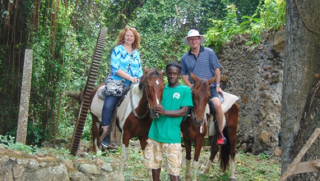 East Coast Horseback Riding & Waterfall Excursion
