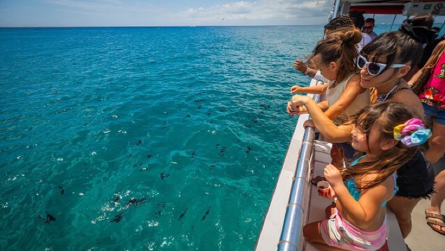Waikiki Glass Bottom Boat Cruise