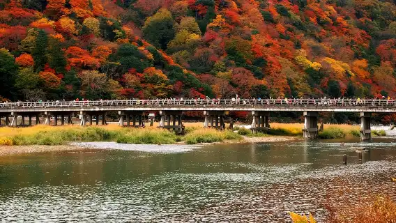 ทัวร์เต็มวันในเกียวโตพร้อมรถรับส่งส่วนตัว