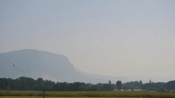 Geneva Countryside, Wine Tasting, Aperitif, Castle By E-bike