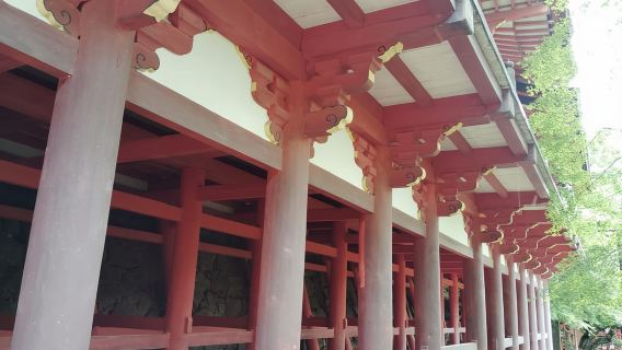 Nara: Erkunden Sie die Pagode und die heilige Geschichte des Tanzan-Schreins