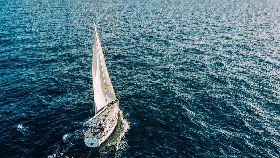 Tenerife: Sailboat Tour Whale Watching Food and Snorkeling