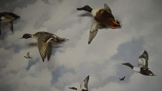 Meteora: Lawatan Muzium Sejarah Alam dan Muzium Cendawan