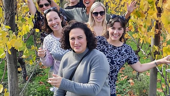 จากเวลลิงตัน: ทัวร์โรงกลั่นไวน์ Martinborough