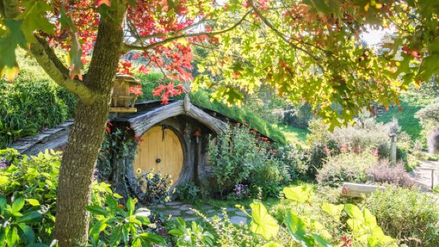 From Auckland: Hobbiton and Waitomo Day Tour with Lunch