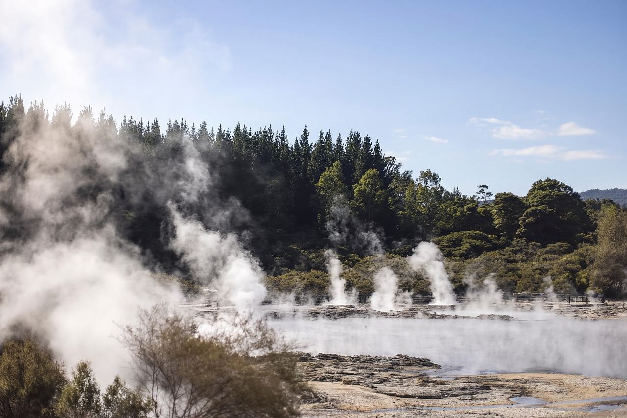 From Rotorua: HELL's GATE Geothermal MUD BATH Half Day Tour