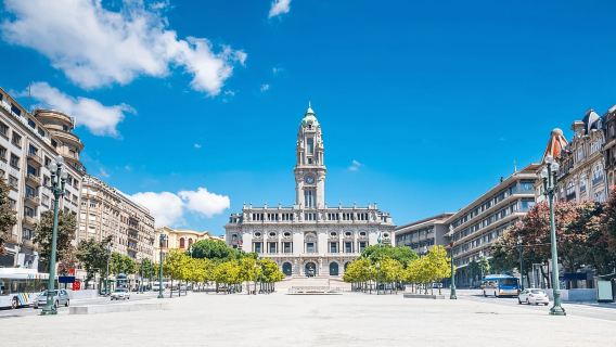 Porto: tour di mezza giornata con visita alla cantina di Porto e degustazione