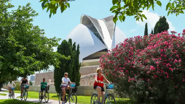 Valencia: Private City Tour on Bike with Drink Stop