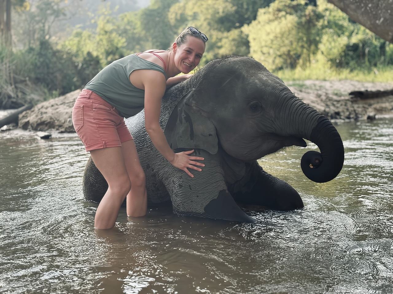 Chiang Mai: Elephant Sanctuary Feeding Program Half-Day Tour
