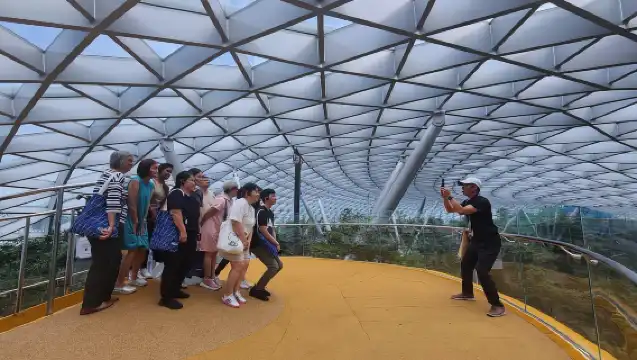 新加坡：探索星耀樟宜導覽遊