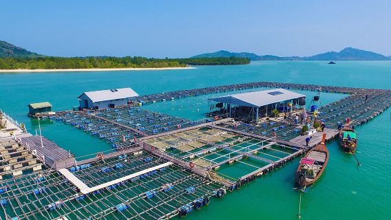 Phuket Pearl Oyster Farm Tour