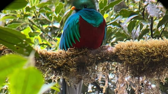 Cloud forest Nature walk