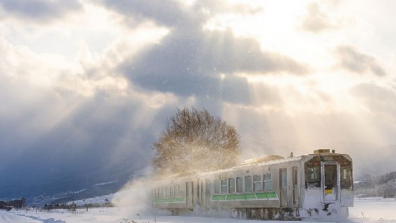 日本北海道+旭山動物園+青池一日遊/行程可調-可訂製